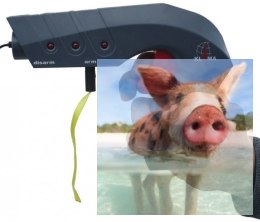 Pistoletowe urządzenie startowe