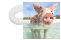 Podkładka plastikowa M8 - 1szt.