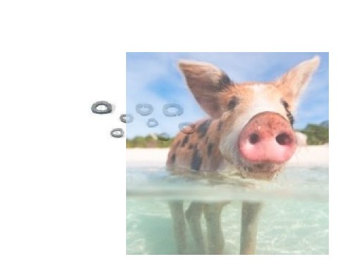 Podkładka sprężynująca 4,1 mm - 20szt.