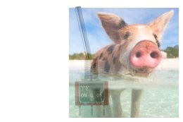 Przełącznik 2-pozycyjny do aparatur Taranis X9/X7