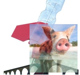 Rakieta Aqua Star - zestaw startowy