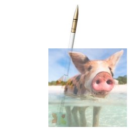 Rakieta Terrier Orion