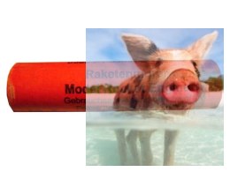 Silnik do rakiet C6-0, ciąg 6N - 6szt