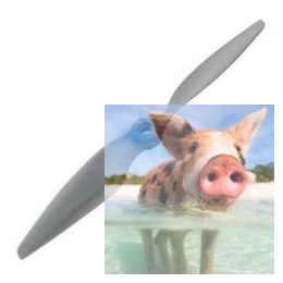 Śmigło APC 10X5.5MRP Multirotor Pusher