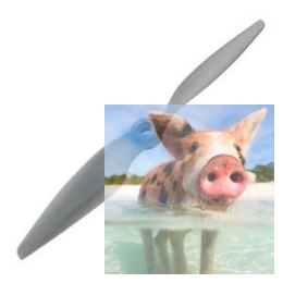 Śmigło APC 9x4.5MR Multirotor