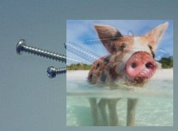 Śruba - wkręt 2,2 x 6,5 10szt