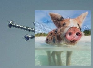 Śruba - wkręt 3,5 x 16 - 10szt.