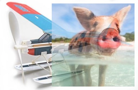 Szybowiec Aviator-Beaver 450mm z napędem gumowym