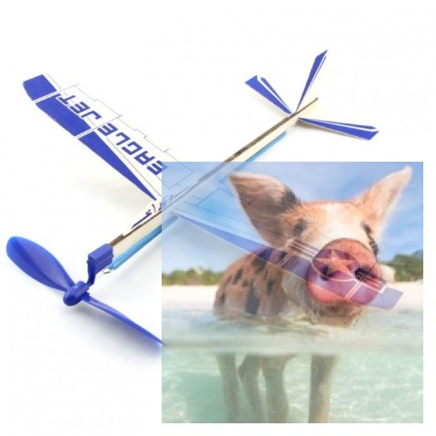 Szybowiec Eagle Jet 300mm z napędem gumowym