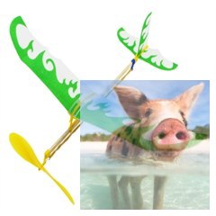 Szybowiec Thunder Bird z napędem gumowym