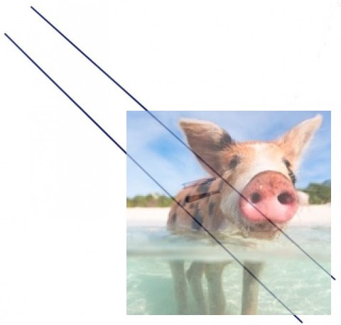 Zestaw popychaczy ze snapami M2 - 2szt