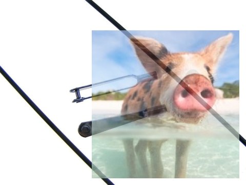 Zestaw popychaczy ze snapami M2 - 2szt