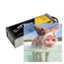 10000mAh 14.8V 30C TATTU Gens Ace
