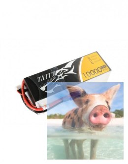 10000mAh 18.5V 15C TATTU Gens Ace