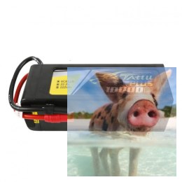 10000mAh 22.2V 25C Plus TATTU Gens Ace
