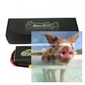 11000mAh 14.8V 100C Gens Ace