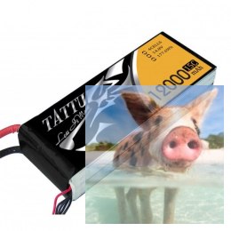 12000mAh 14.8V 15C TATTU Gens Ace
