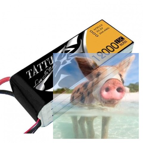 12000mAh 22.2V 15C TATTU Gens Ace 12000mAh 22.2V 15C TATTU Gens Ace