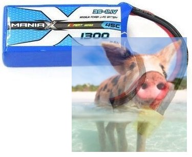 1300mAh 11.1V 45C eXpert ManiaX