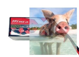 1300mAh 14.8V 130C Racing ManiaX
