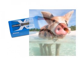 1300mAh 22.2V 45C eXpert ManiaX