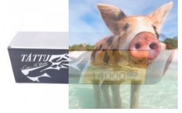 14000mAh 22.2V 25C TATTU Gens Ace