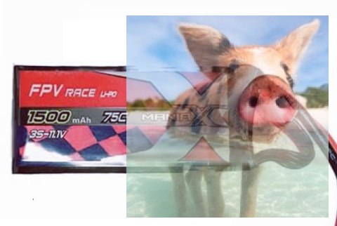 1500mAh 14.8V 75C Racing ManiaX 1500mAh 14.8V 75C Racing ManiaX