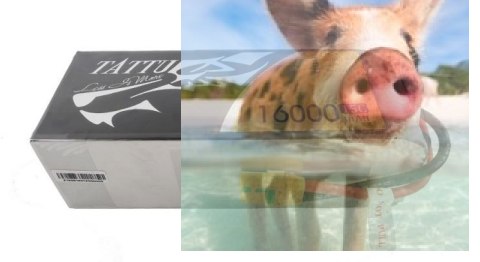 16000mAh 22.2V 15C XT90 TATTU Gens Ace