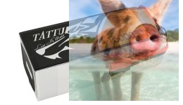 16000mAh 22.2V 15C TATTU Gens Ace