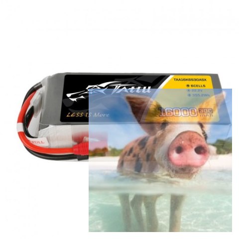 16000mAh 22.2V 30C TATTU Gens Ace AS150+XT150