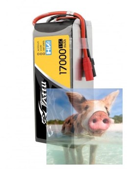 17000mAh 22.8V 15C TATTU Gens Ace