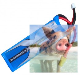 1800mAh 11.1V 45C eXpert ManiaX