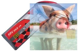1800mAh 14.8V 75C Racing ManiaX