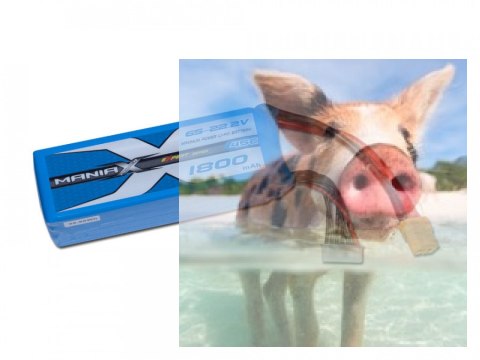 1800mAh 22.2V 45C eXpert ManiaX