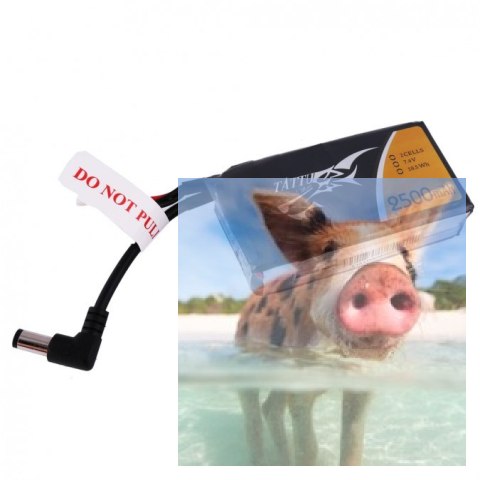 2500mAh 7.4V TATTU for Fatshark Goggles 2500mAh 7.4V TATTU for Fatshark Goggles