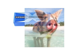 2600mAh 22.2V 45C eXpert ManiaX