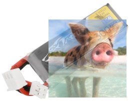 300mAh 3.7V 75C HV Gens Ace