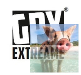 3300mAh 11.1V 25C GPX Extreme T-Dean