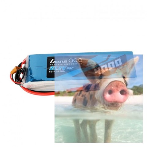 4000mAh 22.2V 45C Gens Ace EC5