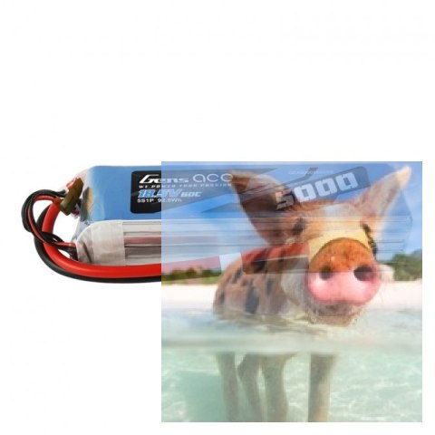 5000mAh 18.5V 60C Gens Ace XT90