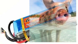 5000mAh 22.2V 45C Gens Ace
