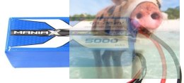 5000mAh 22.2V 45C eXpert ManiaX