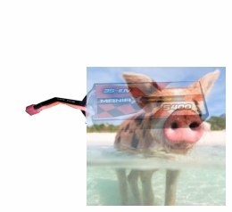 5400mAh 11.1V 60C eXpert ManiaX