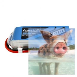 5600mAh 22.2V 80C Gens Ace EC5