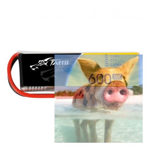 600mAh 3.7V 30C TATTU Gens Ace 600mAh 3.7V 30C TATTU Gens Ace