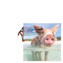 6400mAh 15.2V 100C HardCase ManiaX