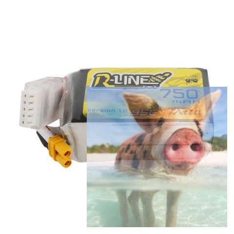 750mAh 14.8V 95C TATTU R-Line Gens Ace 750mAh 14.8V 95C TATTU R-Line Gens Ace