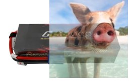 8000mAh 14.8V 80C Gens Ace BASHING