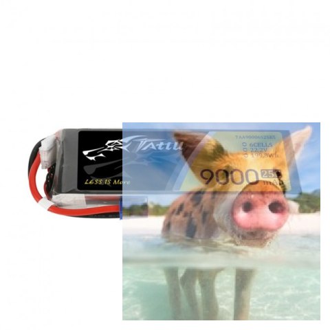 9000mAh 22.2V 25C TATTU Gens Ace EC5 9000mAh 22.2V 25C TATTU Gens Ace EC5