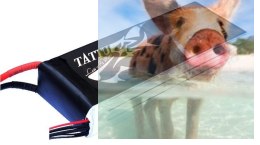 9000mAh 22.2V 25C TATTU Gens Ace